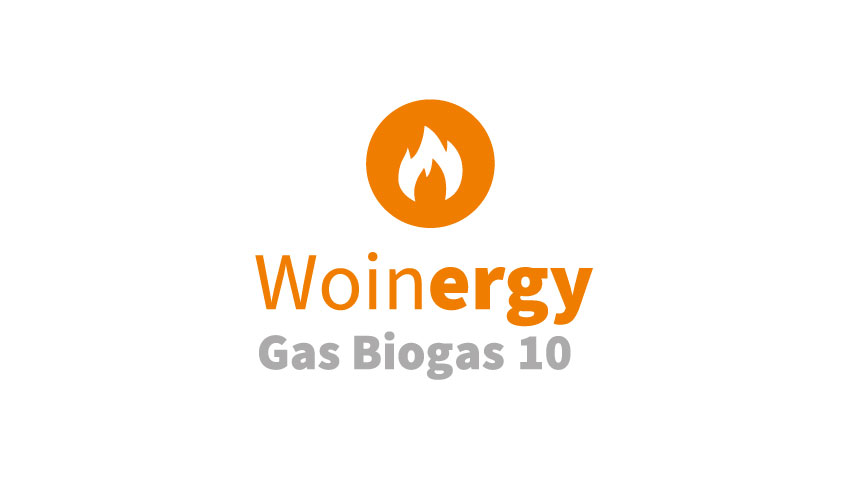 Woinergy Gas Biogas 10